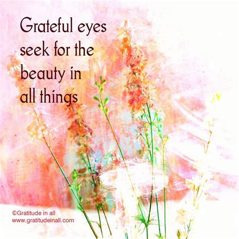 Grateful Eyes Seek For The Beauty In All Things Kristin Granger
