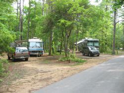 Myrtle beach state park is a 312 acre state park located in myrtle beach, south carolina on land donated by myrtle beach farms in 1934. Myrtle Beach campground | Myrtle beach state park, State ...