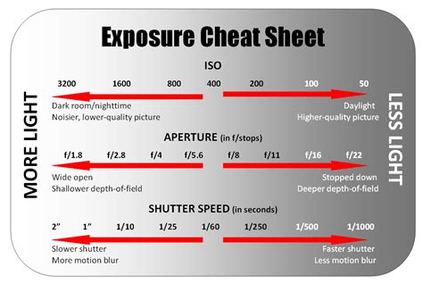 Nikon D Cheat Sheet Pdf Canadian Guide Step By Step Instructions Hot