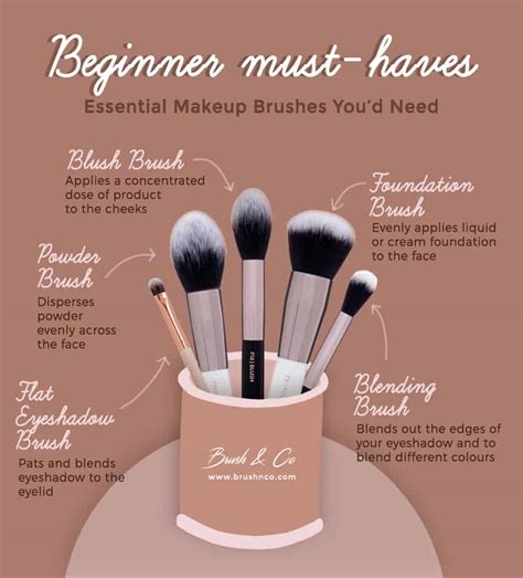 Basic Brushes For Makeup Beginners Saubhaya Makeup