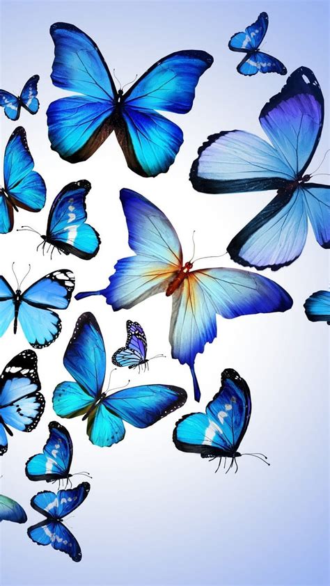 El Top Fondo De Pantalla Mariposas Azules Abzlocal Mx