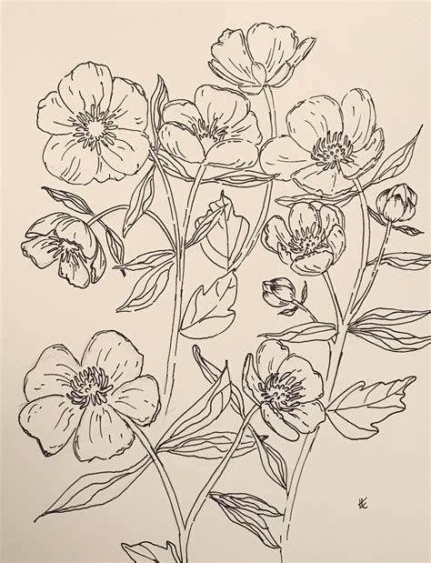 Buttercup Drawings By Ei Vintage Flower Tattoo Flower Drawing