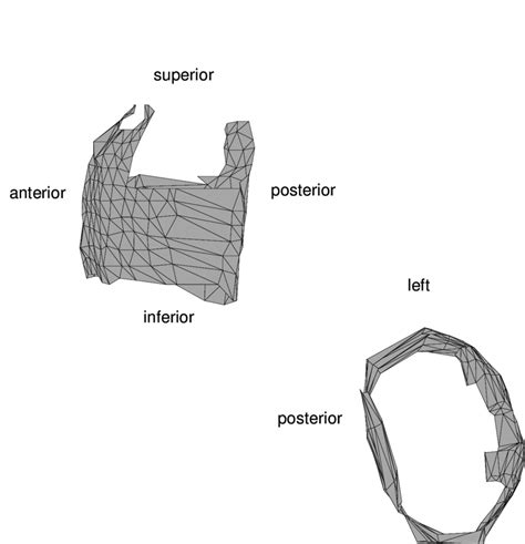 Two Views The Body Surface Geometry Created By The Body Surface