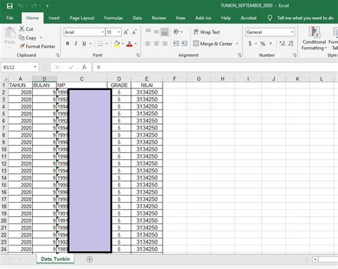 Aplikasi Excel Formulir Perhitungan Tunjangan Kinerja Excelmaniacs