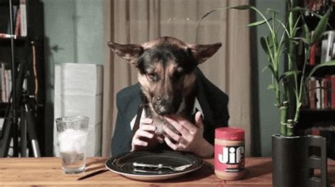 Dogs With Human Hands 