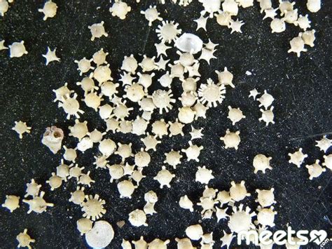 Check spelling or type a new query. 10 beaches you have to visit at least once in your life ...