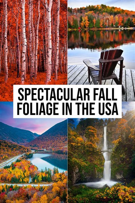 Spectacular Drives In The Usa To See Fall Foliage Eatlivetraveldrink