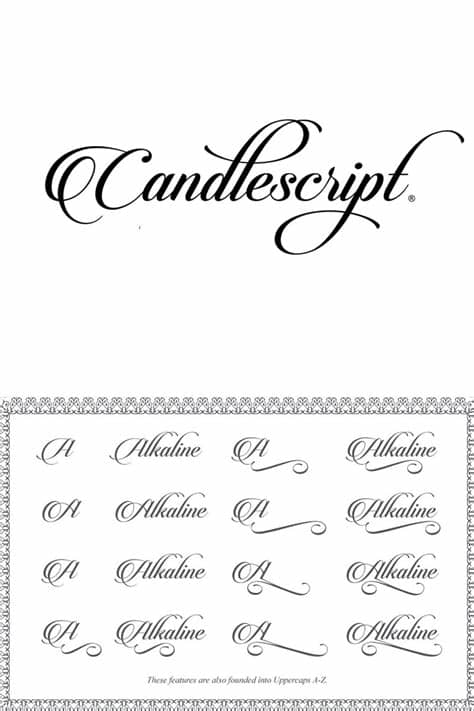 Search results for 'bank script' (free bank script fonts). Download Candlescript Font in 2020 | Free script fonts ...
