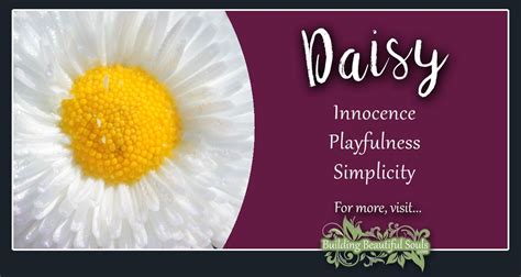 Maybe you would like to learn more about one of these? Daisy Meaning & Symbolism | Flower Meanings & Symboiism