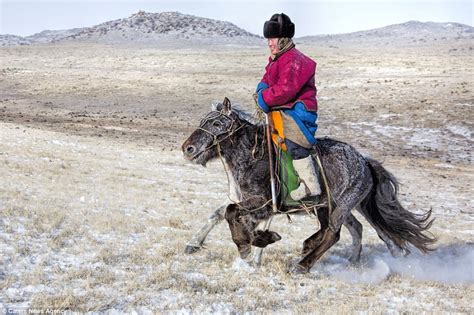 Did Genghis Khan Really Conquer The World On A Mongolian Horse Daily