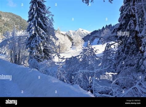 Winter Wonderland In Rohrmoos Valleytiefenbachjust Outside Oberstdorf
