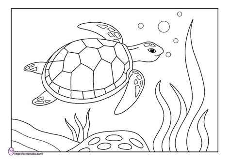 Get sketsa mewarnai gambar hewan amfibi. 125+ Gambar Mewarnai Anak TK - SD (PDF) - Free Download