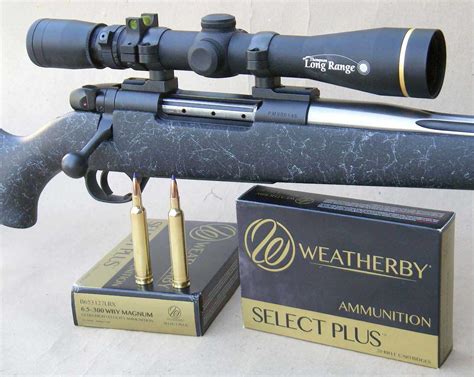 65 300 Weatherby Magnum