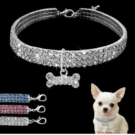 Collares Para Perro Estilo Y Personalidad Chihuahua