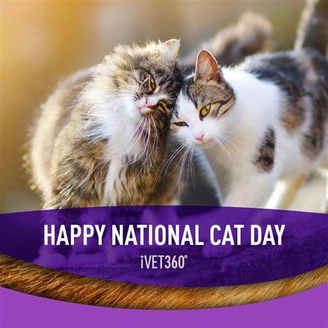 National Cat Day With Images National Cat Day Cat Day National Cat