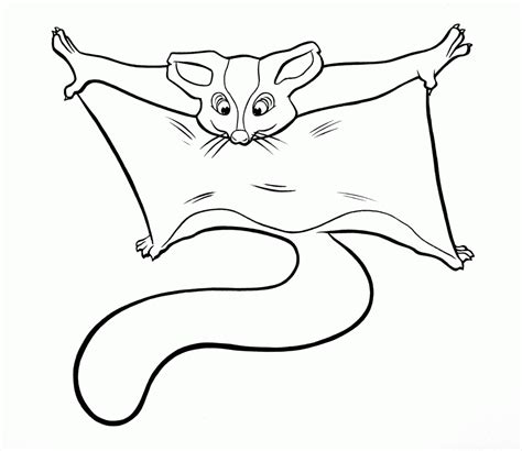 Glider Sugar Coloring Pages Gliders Svg Drawing Color Printable