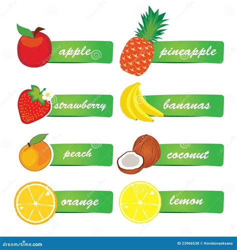 Vector Fruit Labels Stock Vector Image Of Element Pineapple 23966538