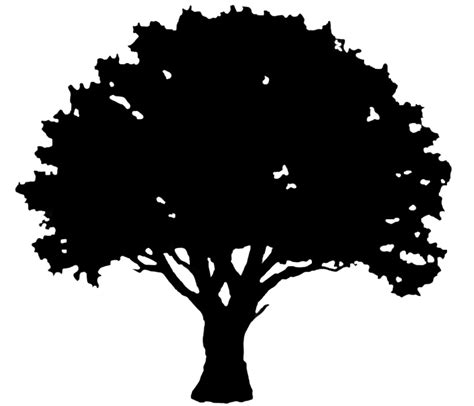 Oak Tree Silhouette Graphics Oak Tree Tattoo Oak Tree