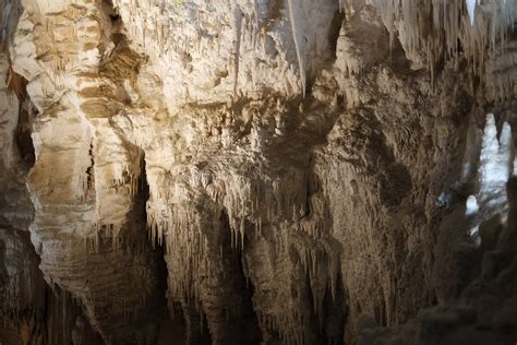 Filestalactites On Cave Wall In Aranui Cave Wikimedia Commons