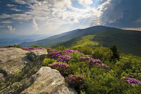 Five Things You Didnt Know About The Appalachian Trail The House