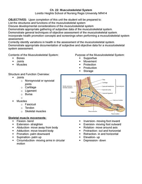 Chapter 22 Musculoskeletal Notes Ch 22 Musculoskeletal System