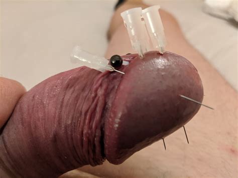 Cock Head Piercing Needle Fetish CBT 9 Pics XHamster