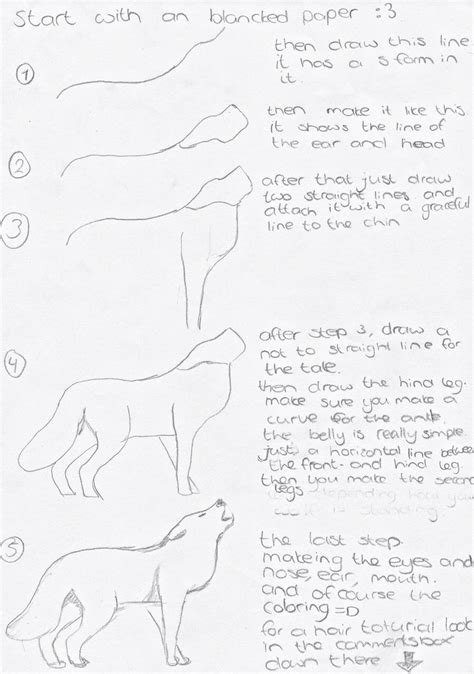 How To Draw A Wolf Step By Step 3d Drawings Wolf Drawing Drawings