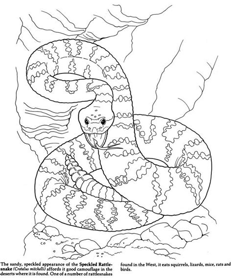 Free Desert Animals Coloring Pages, Download Free Desert Animals