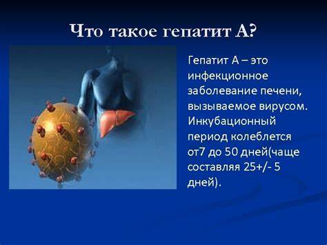 Вирусный гепатит а диета 5 Острый вирусный гепатит А Противоэпидемические мероприятия в ДДУ Острый вирусный гепатит А Противоэпидемические мероприятия в ДДУ Вирусный гепатит а диета 5