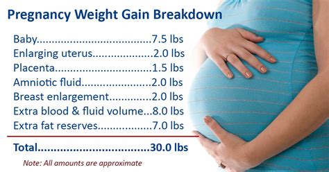 How Much Weight Should I Gain At Weeks Pregnant Beauty Clog