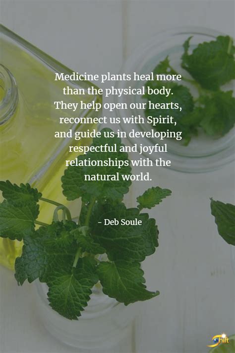 Quotes About Herbal Healing Aden