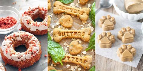Example of the most popular ones. 12 Best Homemade Dog Treats Recipes - How to Make DIY Dog ...
