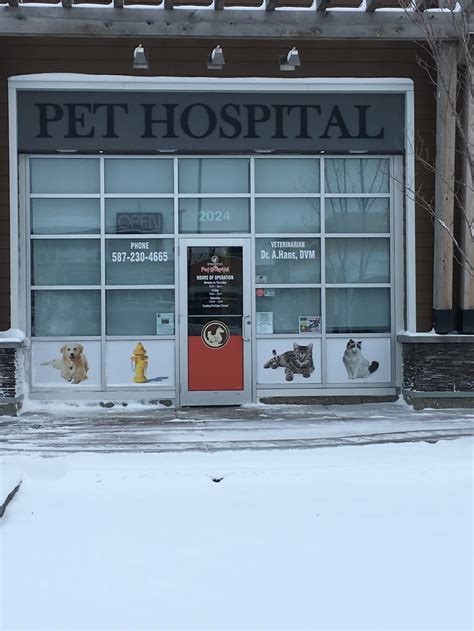 Not just 4 paws animal hospital routine veterinary care is essential to keeping your pet in optimal health. Healthy Paws Forward Veterinary Hospital - Opening Hours ...