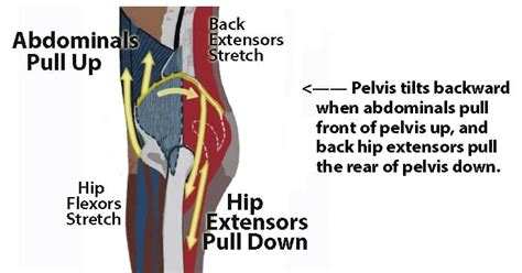 Lordosis Treatment Before After