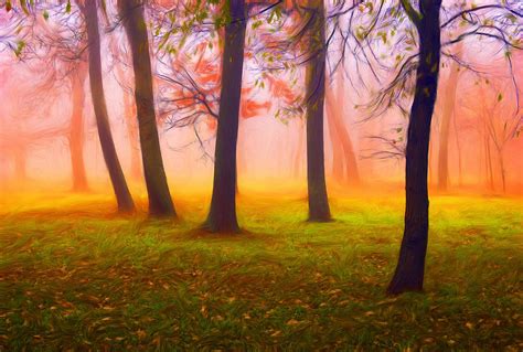 Colorful Forest In The Autumn By Sasa Prudkov