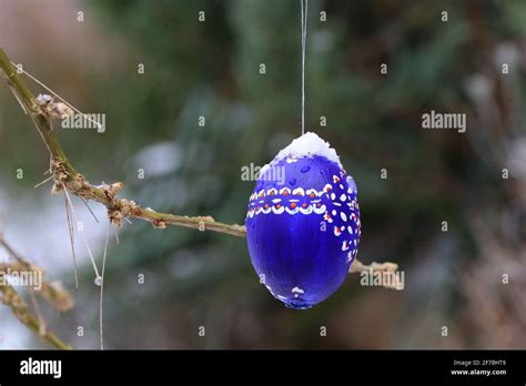 Cold And Snowy Easter Holidays With Colored And Painted Hanging Easter