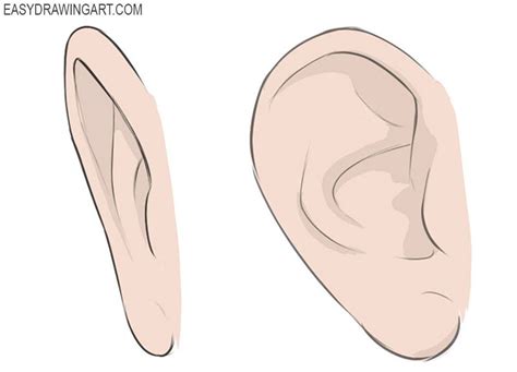 How To Draw An Ear Easy Drawing Art How To Draw Ears Drawings