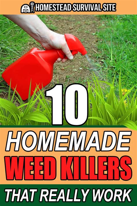 10 Homemade Weed Killers That Really Work