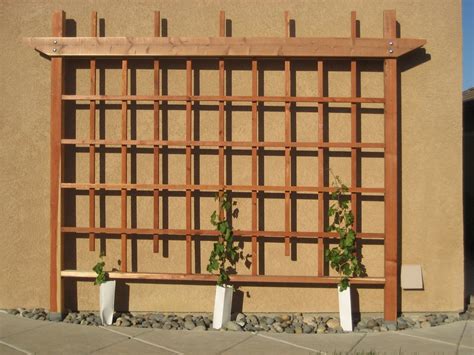 Westelm.com has been visited by 100k+ users in the past month Wall Grape Trellis - by Cantil3v3r @ LumberJocks.com ...