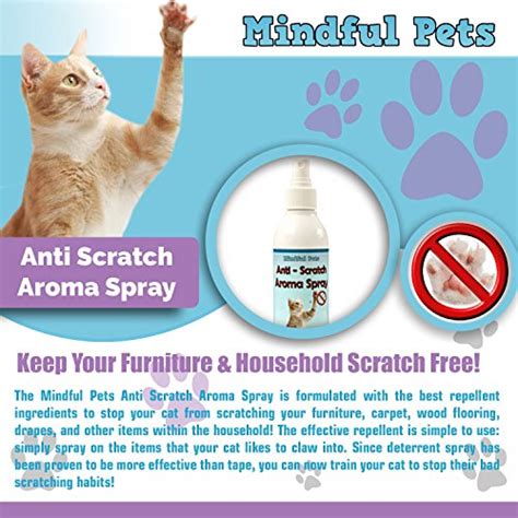 Claw withdraw cat scratch spray deterrent. Cat Scratch Deterrent Spray - Natural Training Solution To ...