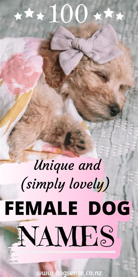 100 Gorgeous Girl Dog Names Girl Dog Names Cute Girl Dog Names