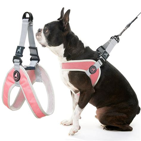 Gooby Simple Step In Iii Harness Pink Medium No Pull Small Dog