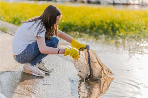 Environmental Cleanup Stock Photos Pictures And Royalty Free Images Istock