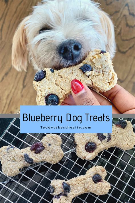 Blueberry Dog Treats Are Being Held Up By A Womans Hand With The Words
