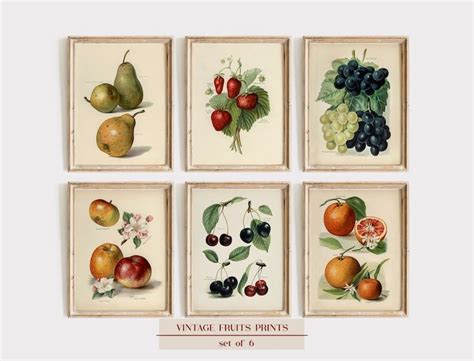 Vintage Fruit Print Set Of 6 Fruit Prints Vintage Fruit Art Etsy In