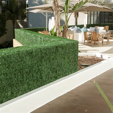 Need the best privacy hedge for your yard? Boxwood Hedges Transform Irvine Marriott Hotel ...