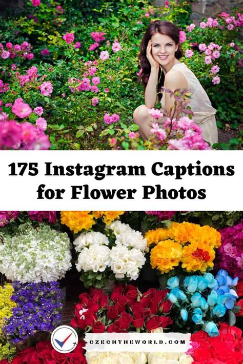 Check spelling or type a new query. 🥇 175 Best Instagram Captions for Flower Photos (2021)