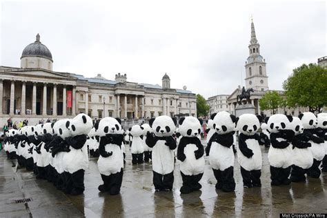 Picture Of The Day Pandas Descend On Central London The Daily Beast