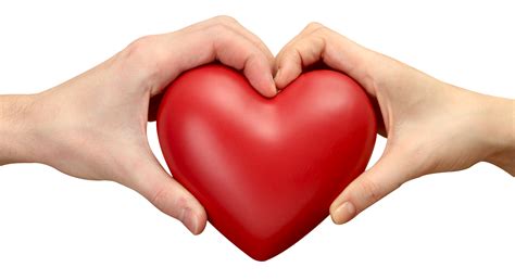 Love Heart PNG Transparent Image - PngPix png image