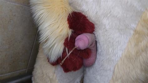 Pissing And Cumming For You In Fursuit Xxx Mobile Porno Videos And Movies Iporntvnet
